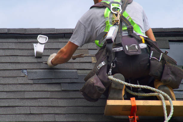 Best Roof Repair Services  in Raymondville, TX