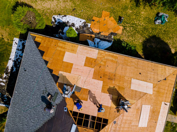 Best Commercial Roofing Services  in Raymondville, TX